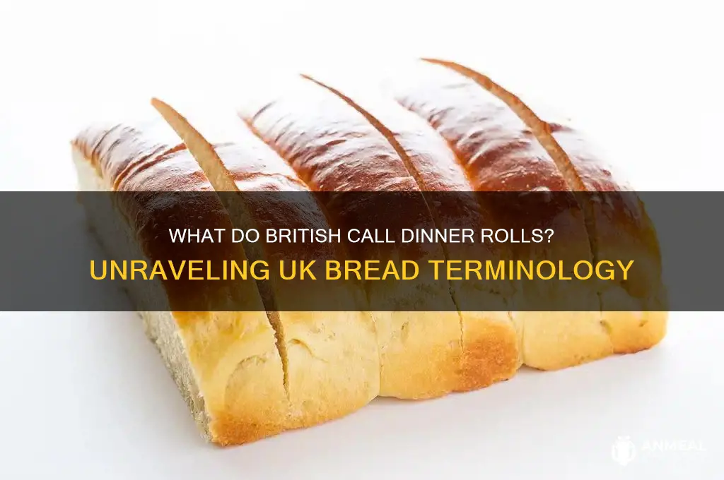 what do british call dinner rolls