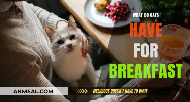 Purr-fect Mornings: Exploring Cats' Breakfast Preferences and Nutritional Needs