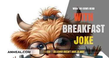 Moo-ving Morning Reads: Cows' Breakfast Joke Book Choices