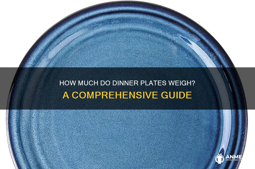 what do dinner plates weight