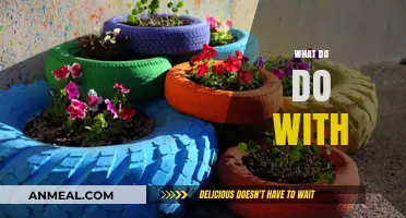 Creative Ways to Repurpose and Utilize Everyday Items Effectively
