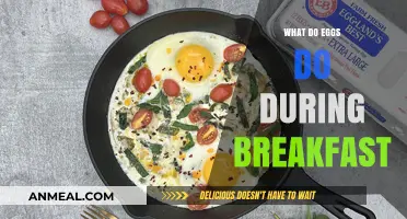 Why Eggs Are the Breakfast Powerhouse You Need Every Morning