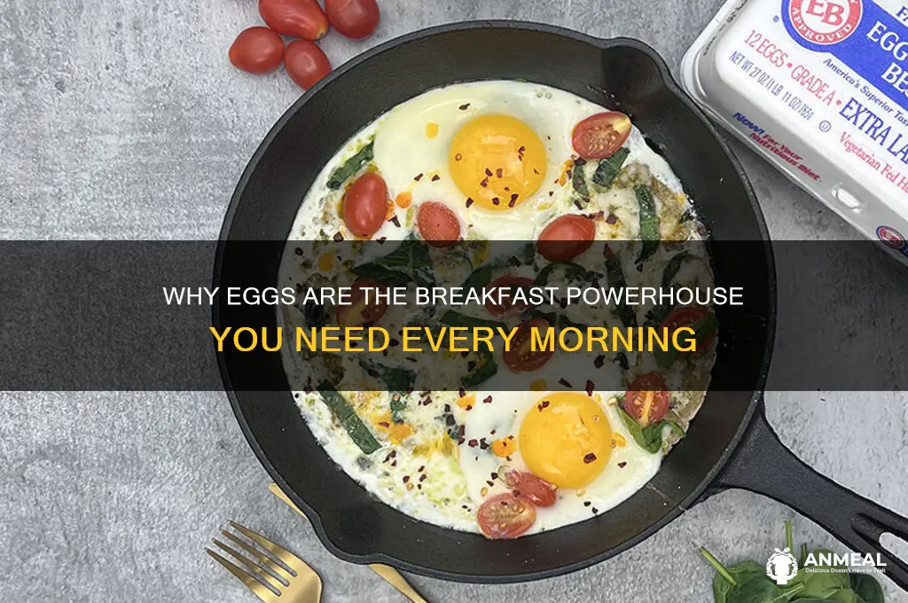 what do eggs do during breakfast