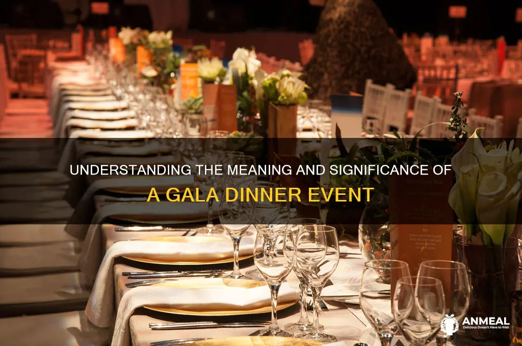 what do gala dinner mean