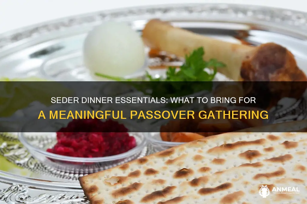 what do i bring to a seder dinner