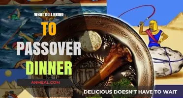 Essential Passover Dinner Contributions: What to Bring for a Memorable Seder