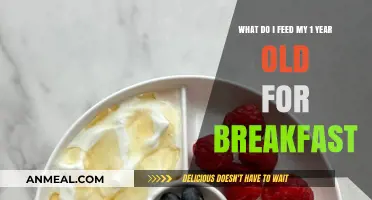 Nutritious Breakfast Ideas for Your One-Year-Old's Healthy Start