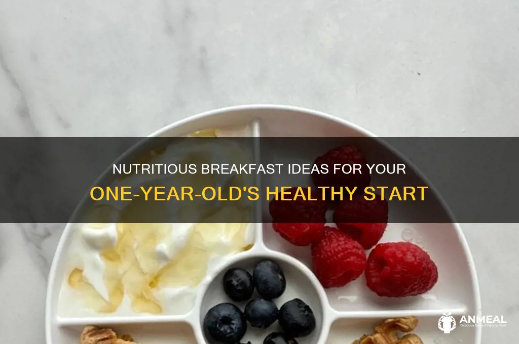 what do i feed my 1 year old for breakfast