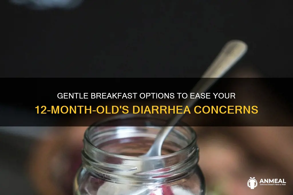 what do i give my 12 month old breakfast diarrhea