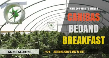 Starting a Cannabis Bed and Breakfast: Essential Steps and Requirements