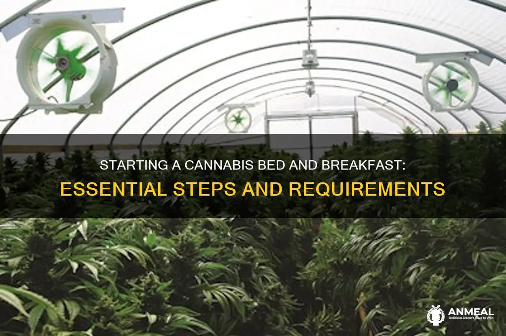 what do i need to start a canibas bedand breakfast