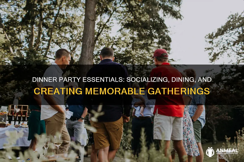 what do people do at dinner parties