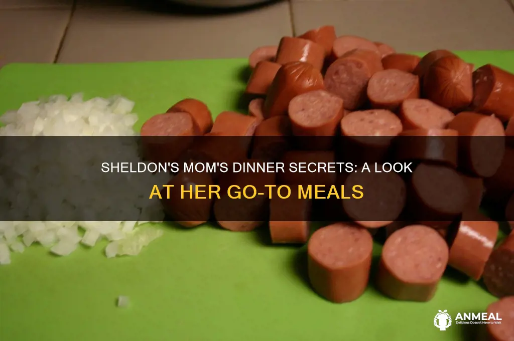 what do sheldon mom made for dinner usually
