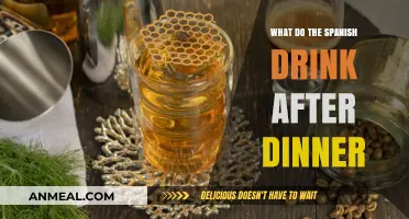 Spanish After-Dinner Drinks: Exploring Traditional Digestifs and Beverages