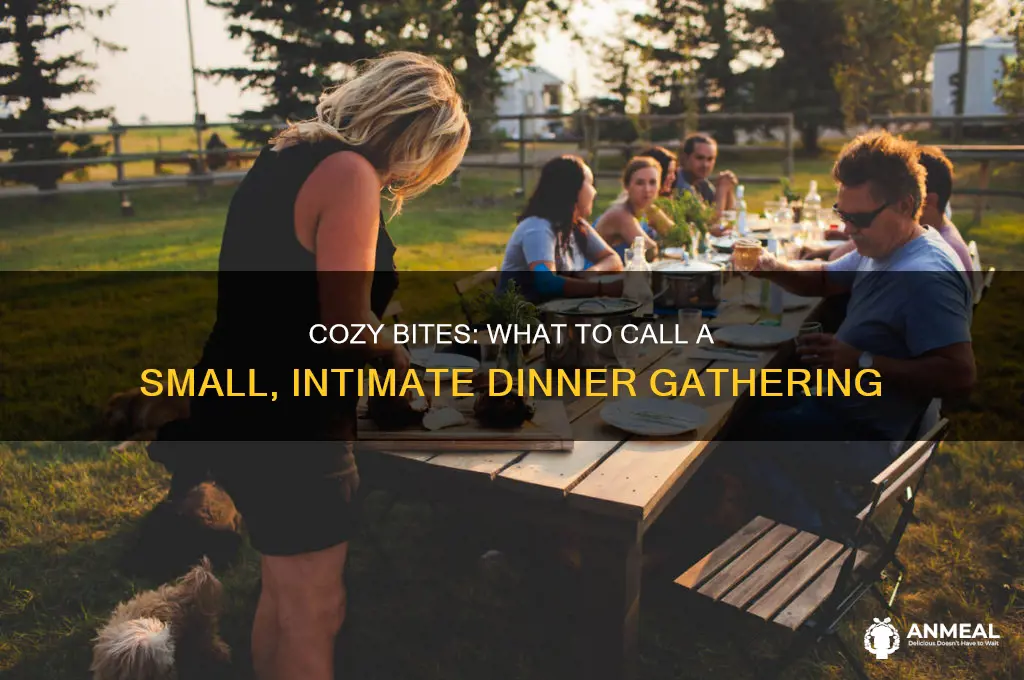 what do u call a small dinner