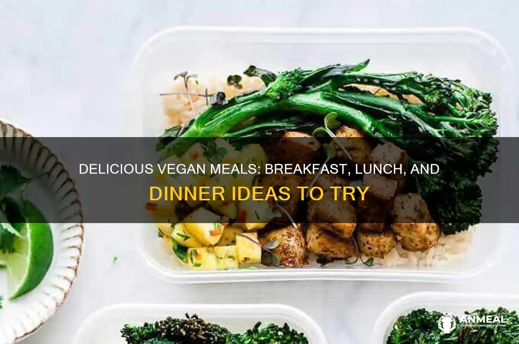what do vegans eay list breakfast lunch and dinner