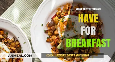Delicious Vegetarian Breakfast Ideas: Healthy, Easy, and Satisfying Morning Meals