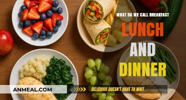 Naming Our Daily Meals: Breakfast, Lunch, and Dinner Explained