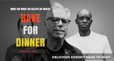 What Do Male Alleys Eat for Dinner? Exploring Culinary Habits