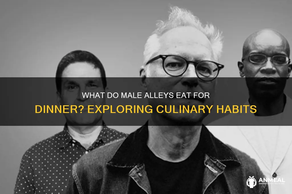 what do what do alleys do males have for dinner