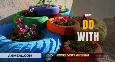 Creative Ways to Repurpose, Reuse, and Recycle Everyday Items Effectively