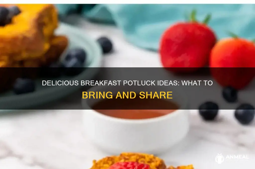 what do you bring to a breakfast potluck