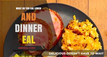 Lunch and Dinner Names: Exploring Global Meal Terminology and Traditions