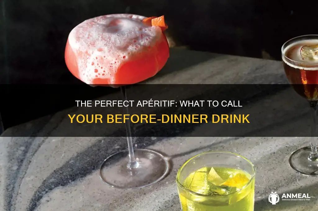 what do you call a before dinner drink