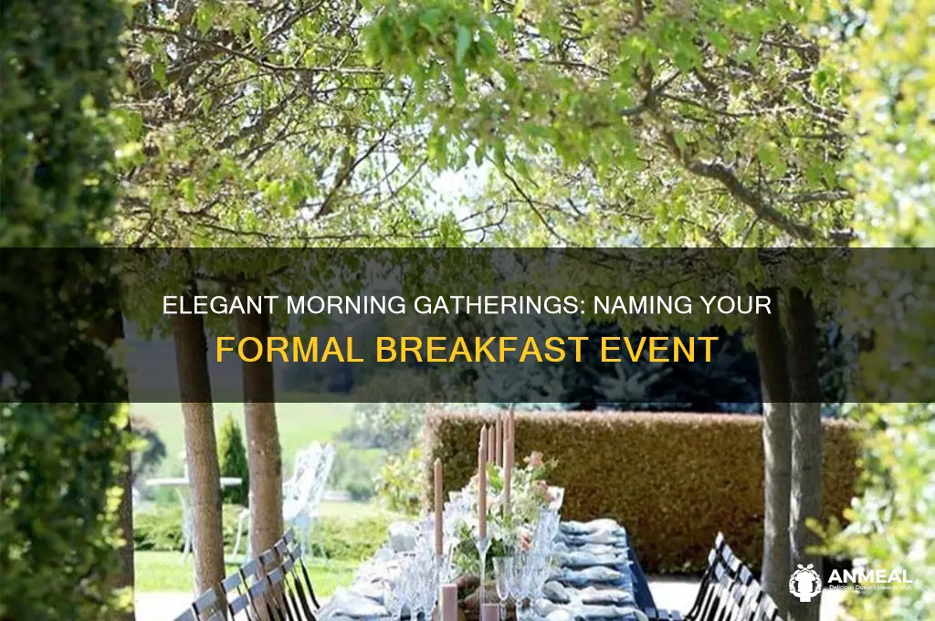 what do you call a formal breakfast event