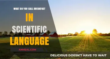 The Science of Breakfast: Understanding Morning Nutrition in Scientific Terms