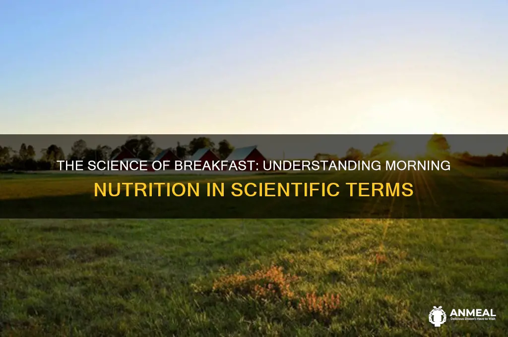 what do you call breakfast in scientific language