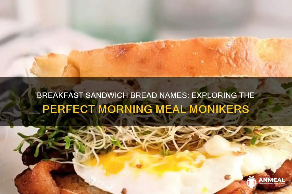 what do you call breakfast sandhiwhc bread