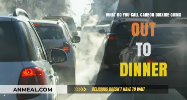 Carbon's Night Out: The Chemistry of CO2's Dinner Adventure