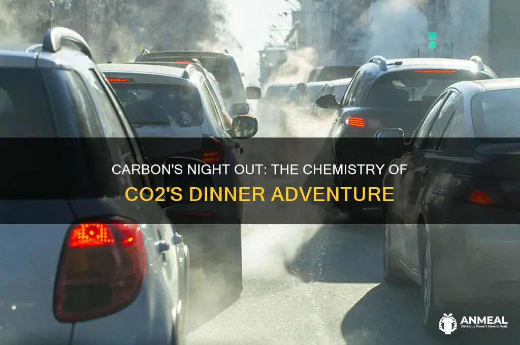 what do you call carbon dioxide going out to dinner