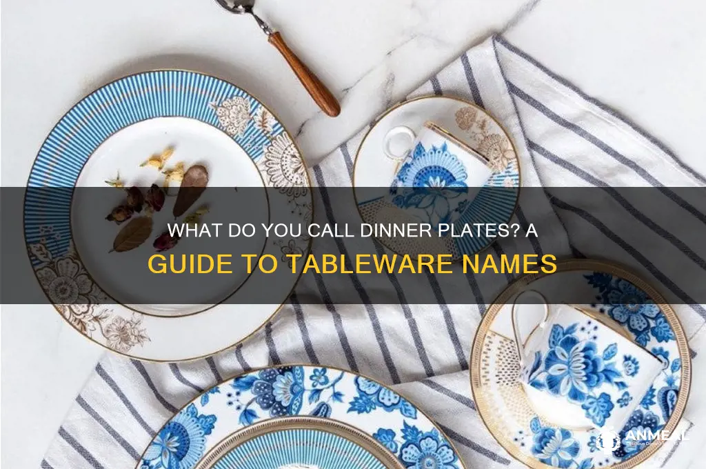 what do you call dinner plates