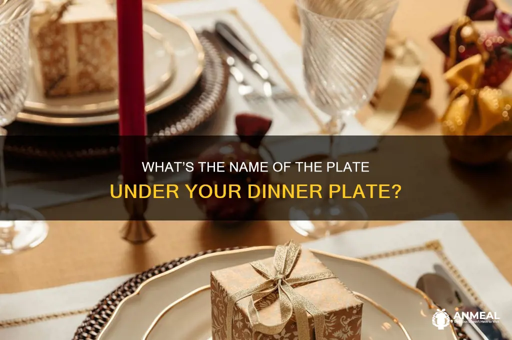 what do you call the plate under the dinner plate