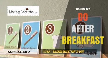Post-Breakfast Productivity: Simple Morning Routines to Kickstart Your Day