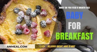 Nutritious Breakfast Ideas for Your 8-Month-Old Baby's Morning Meal