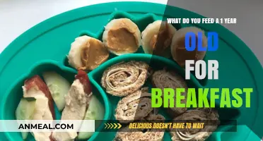 Healthy Breakfast Ideas for Toddlers: Nourishing Your 1-Year-Old's Morning Meal