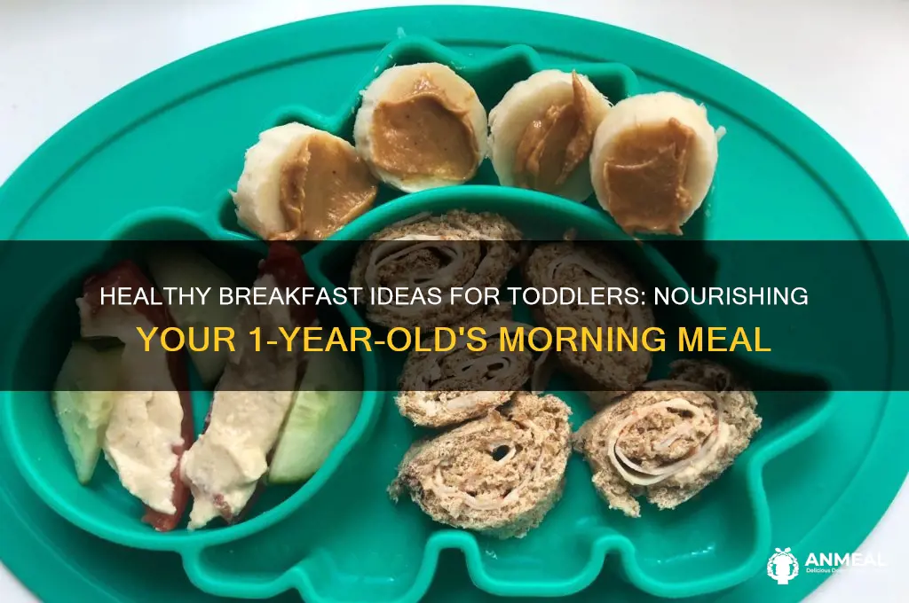 what do you feed a 1 year old for breakfast