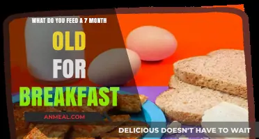 Nutritious Breakfast Ideas for Your 7-Month-Old Baby's Morning Meal