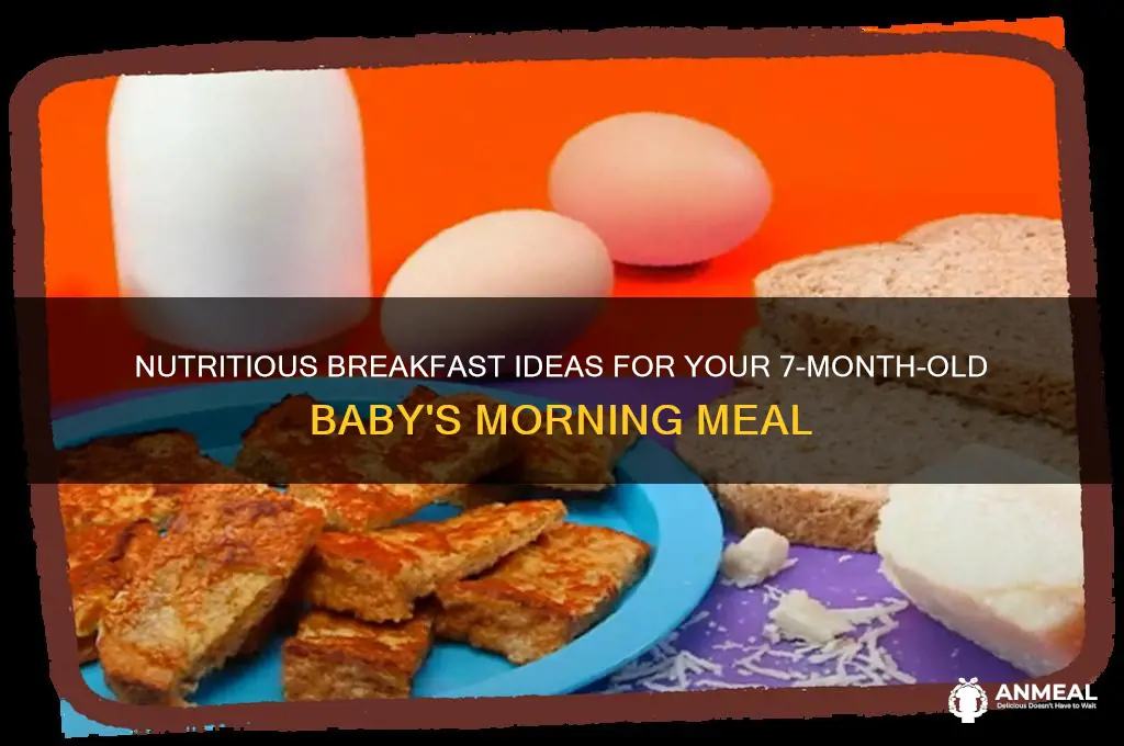 what do you feed a 7 month old for breakfast