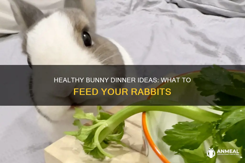 what do you feed bunnies for dinner