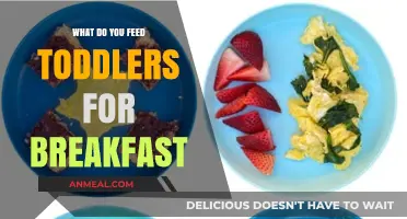 Nutritious Toddler Breakfast Ideas: Healthy and Delicious Morning Meals