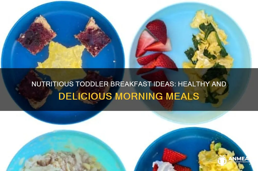 what do you feed toddlers for breakfast
