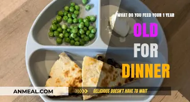 Nutritious and Delicious Dinner Ideas for Your One-Year-Old
