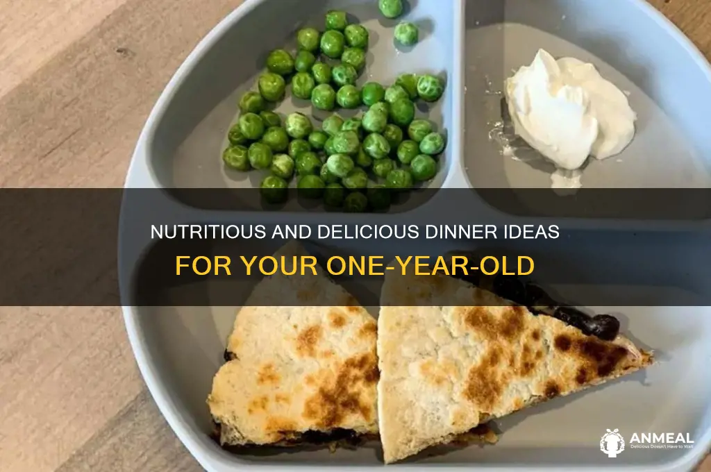 what do you feed your 1 year old for dinner
