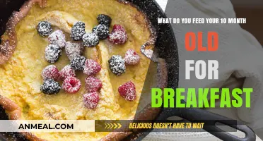 Nutritious Breakfast Ideas for Your 10-Month-Old Baby's Morning Meal