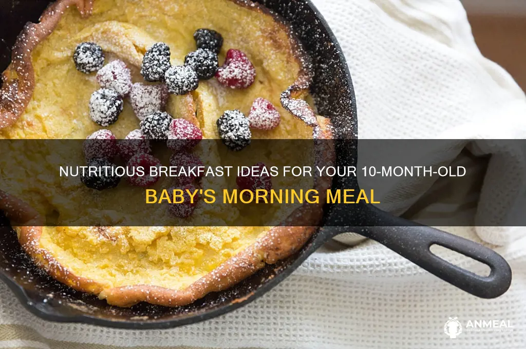 what do you feed your 10 month old for breakfast