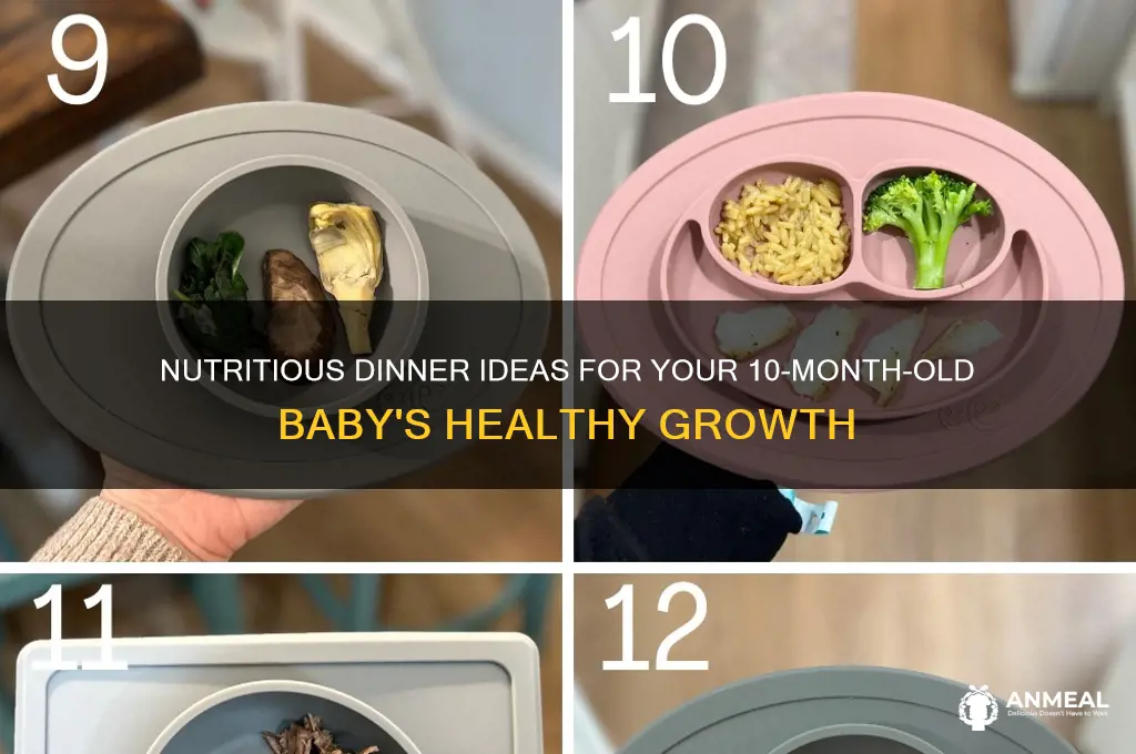what do you feed your 10 month old for dinner